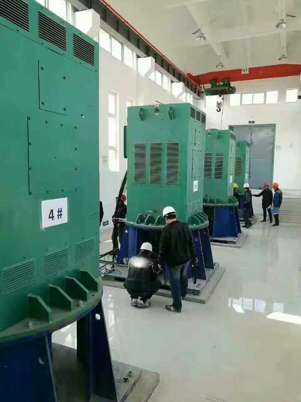 北关某污水处理厂使用我厂的立式高压电机安装现场